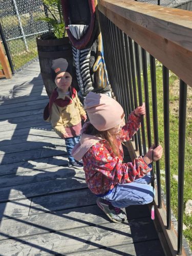 e0e2ca7a26a62cf413188f5b3c0f2ac1