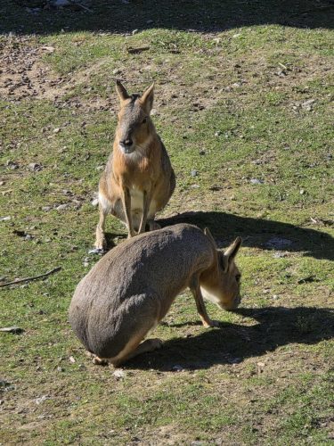 e8d95dbf7fe4c1fe532cfc89823e6e19