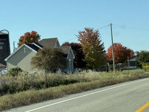 IMG 4977