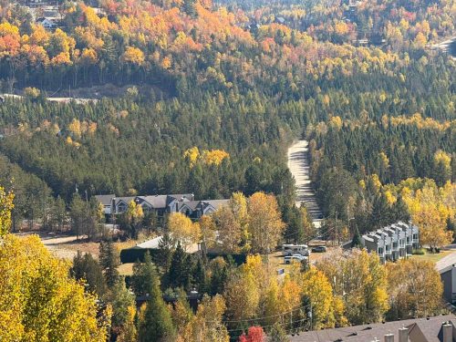 att.2YijjJaHjY7eN293fuxgZdexfqHv98IzmVEmeSVz fo