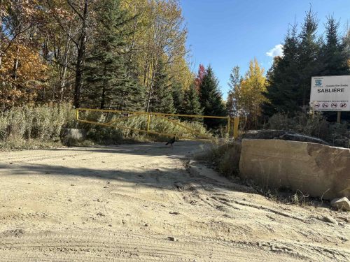 att.EJenDabehQVKqY8ca1Te8opjqgjcnhEbvzmgXW 7oiA