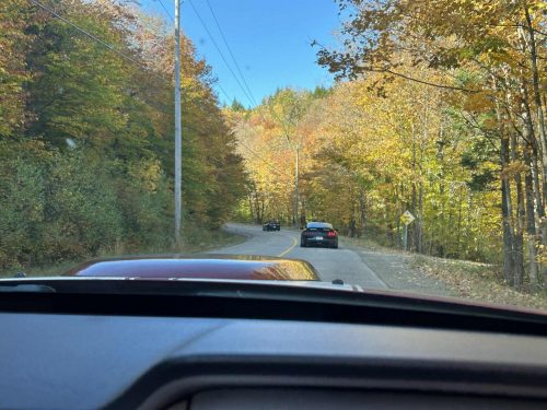 att.EeDRHv3r2w0tQp1bSHBOaVDvcVqnrYzbYa6JWTQIhy0