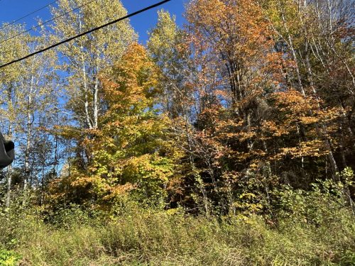 att.XEvb8X3dL70PtFkGAsaQFfE sNxMkm8lVmSpWcisqr0