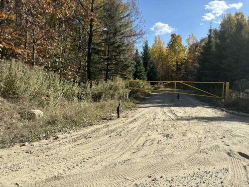 att.YgXPTfTdILo-arw39RGUscdXVkA8h0Vogbg46VzpF9I