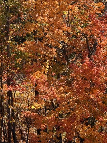 att.eZWKcuMkqSCkuZKzkfuwS5hq2rv28lZoHbRRZyas154