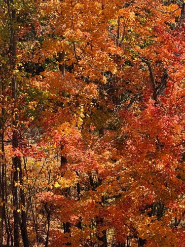 att.gpDRzXLNTKw4pVx9q2VaDTt-vlroI5DgknWsIef9oDo