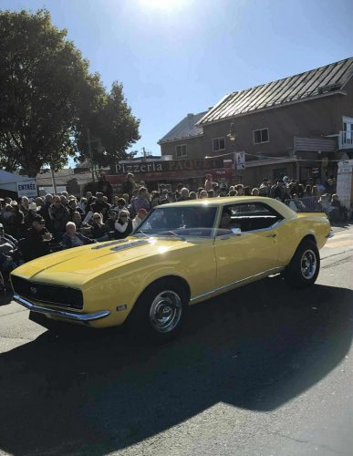 att.CPs6nQcYz31LArxjnoAiEk8C8v MMOujAApG8LooPg8