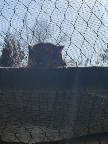 IMG 6622