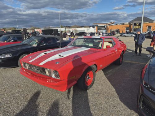 Mardi passion Mustang 12/05/26