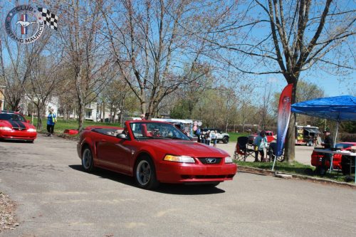 IMG 1287