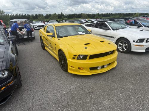 IMG 7541