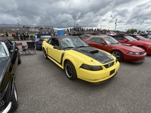 IMG 7567