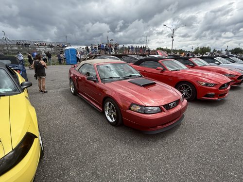IMG 7568