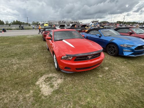 IMG 7621