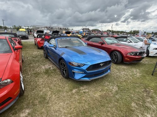 IMG 7622