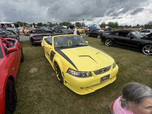 IMG 7648