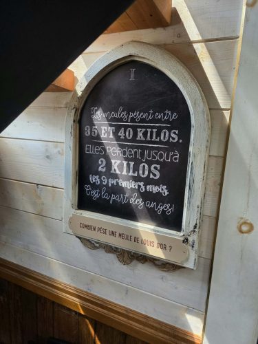 att.lAl1DiR50hVRVVuRUbIhPGPkQ1eP3IedYpRtuHZZ7sU