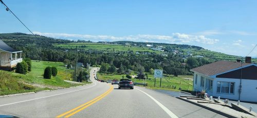 IMG 8735