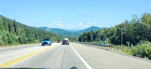 IMG 8741