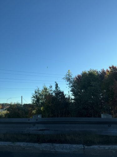 IMG 3850