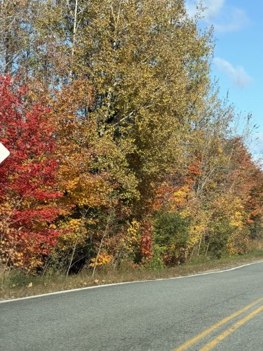IMG 3891