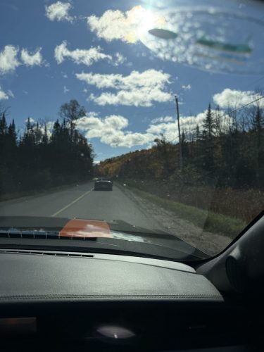IMG 3924