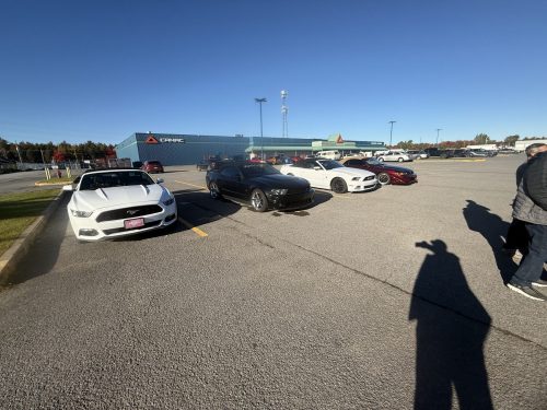 IMG 9285