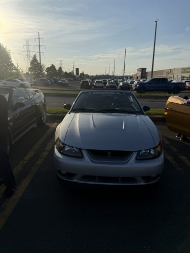 IMG 7258
